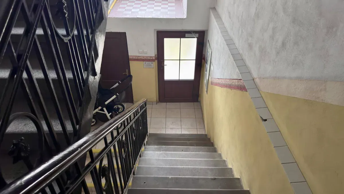 Pronájem komerční nemovitosti · 100 m² (ID: EroP8New)