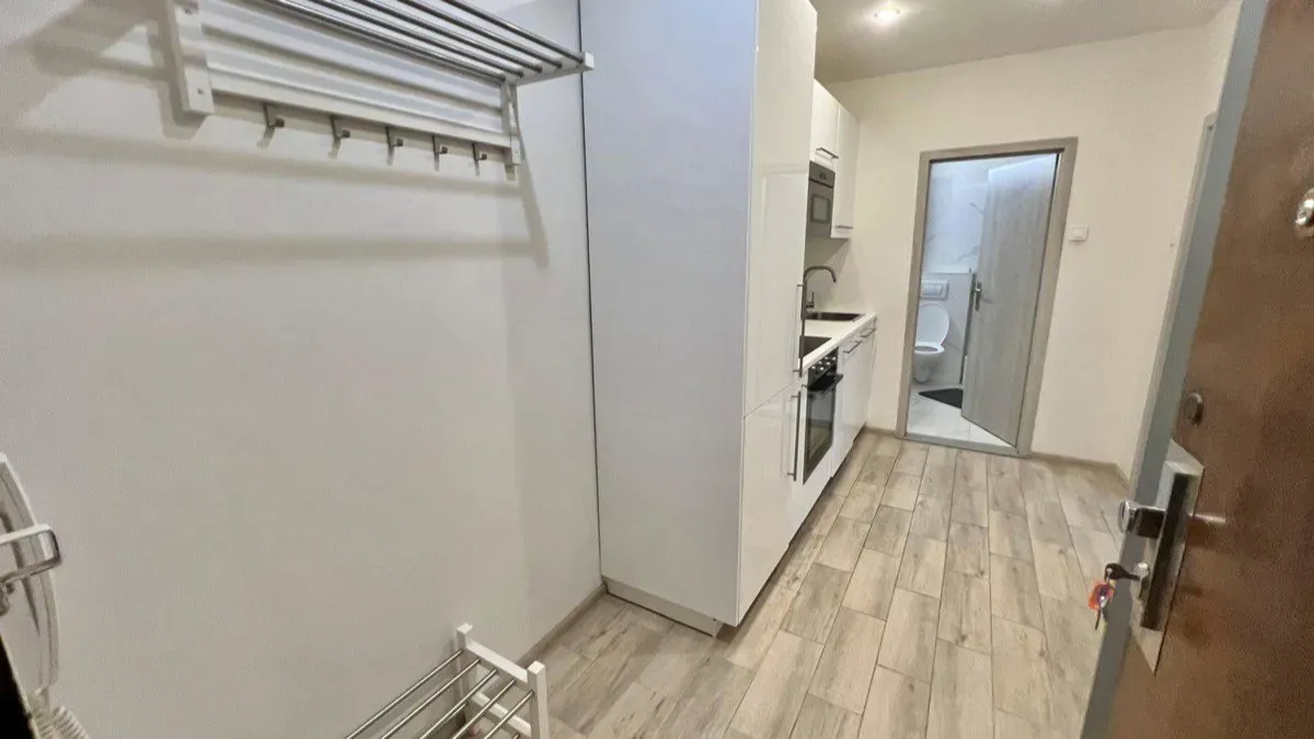Pronájem bytu · 1+kk · 36 m² (ID: Krakovska1kk)