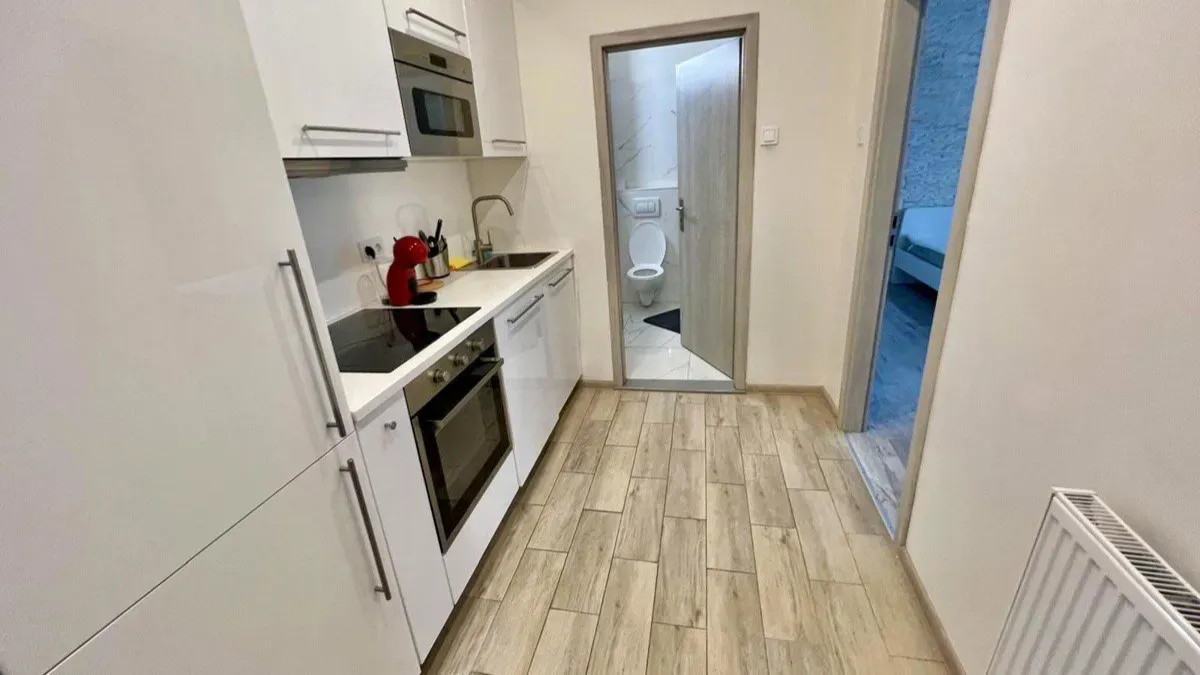 Pronájem bytu · 1+kk · 36 m² (ID: Krakovska1kk)