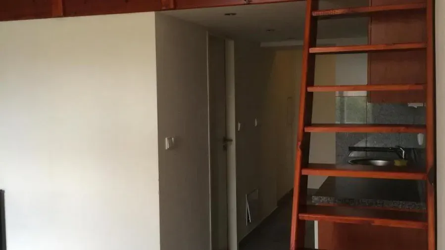 Pronájem bytu · 1+kk · 22 m² (ID: Freyova53B)
